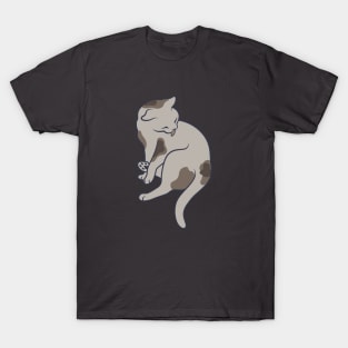 Keep it clean – this is all the cat mean (pose 2) T-Shirt